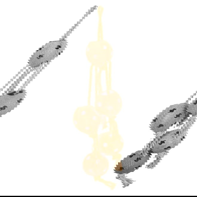 Quapas! Fugleleke kokosn&oslash;tter p&aring; tau