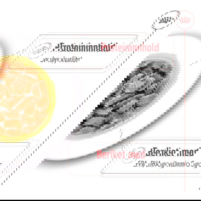 Royal Canin Medium Ageing Gravy v&aring;tf&ocirc;r til hund 10x140 g