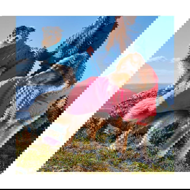 Hurtta Expedition II Vinterdekken Rosa