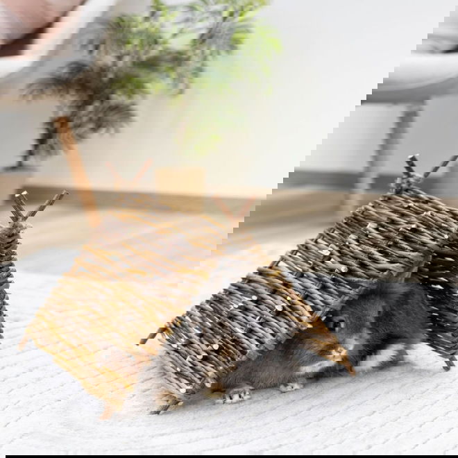 Kerbl Teepee Telt til sm&aring;dyr