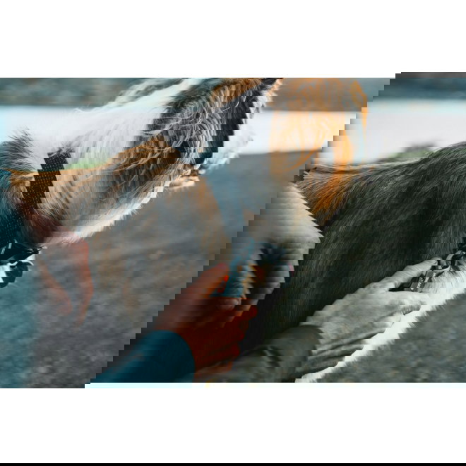 Ruffwear Ridgeline Kobbel Sort