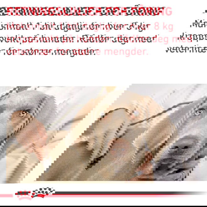 Royal Canin Veterinary Diets Dog Pill Assist Tablettgjemme for hund M/L