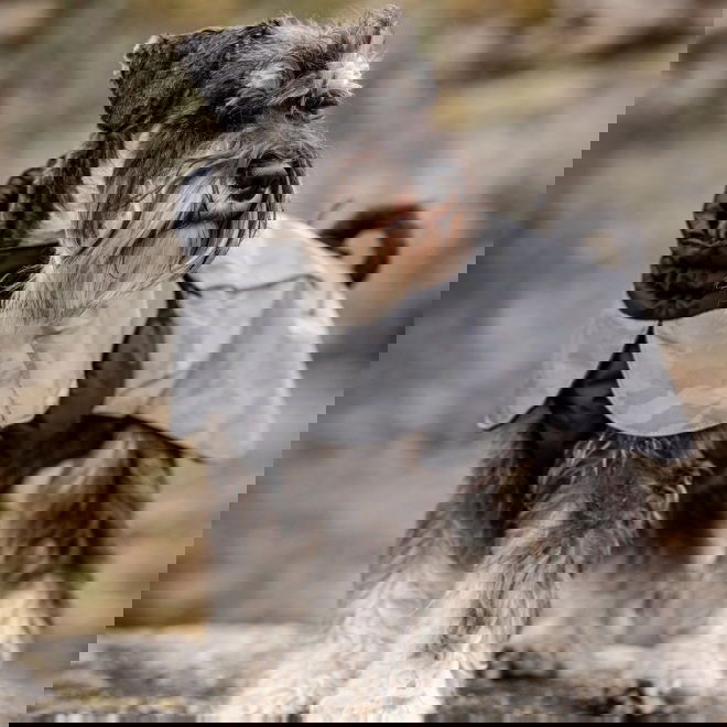 Feel Active Reflective Print Regndekken