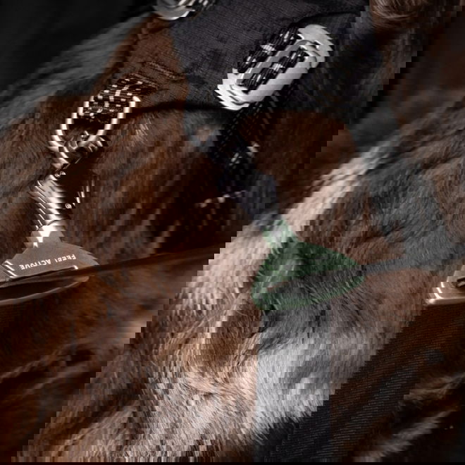 Feel Active krok for feste til hundens bilbelte