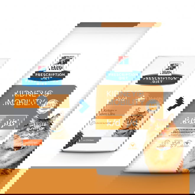 Hills Prescription Diet Feline k/d j/d Kidney + Mobility Chicken