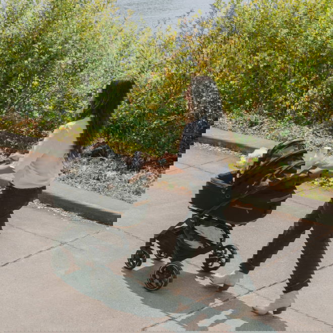 Tavo Roscoe Trek stroller frame