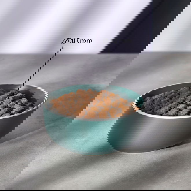 Nutrima Cat Adult Dental Duck & Turkey  (2 kg)