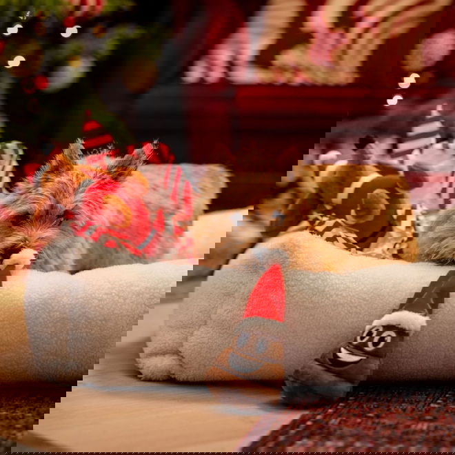 Little&Bigger Seasons Classics Christmas Poop 15 cm