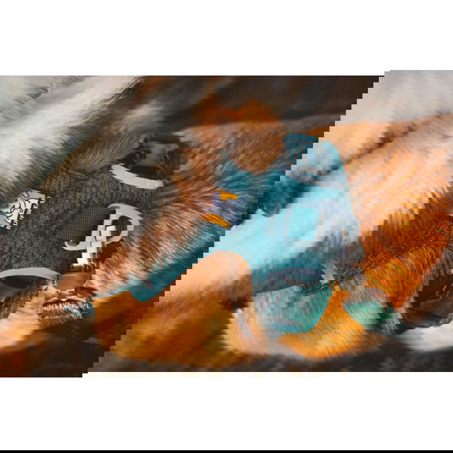 Ruffwear Front Range Flex Harness, Deep Teal