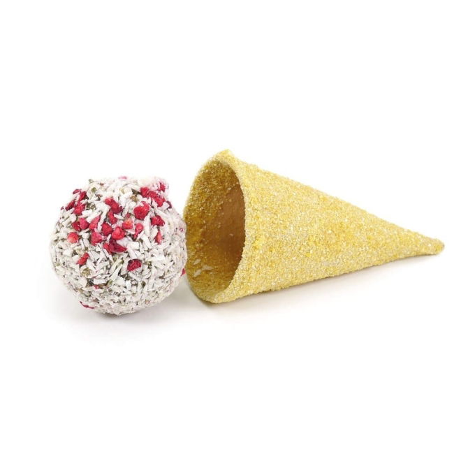 Rosewood Raspberry Coconut Cone 70g