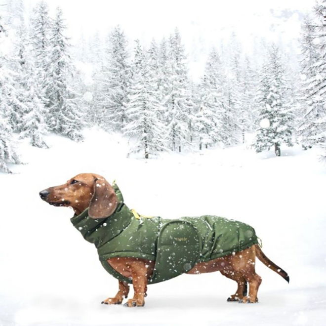 Cloud7 Alaska vinterdekken til hund