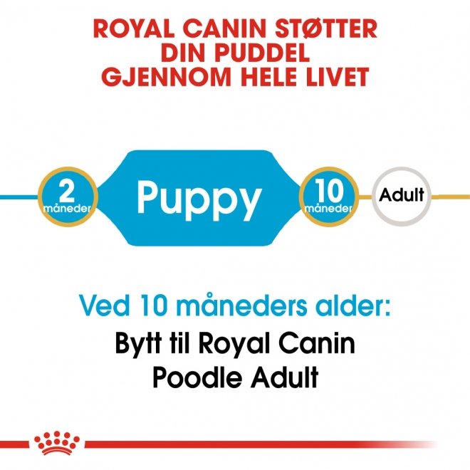 Royal Canin Breed Poodle Puppy tørrfôr til hundvalp