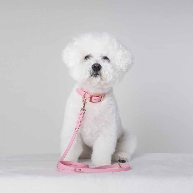 Tyylivoitto Classy Hundehalsbånd Liten Modell, Rosa