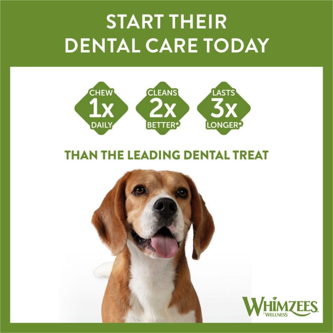 Whimzees Soft Dental tygg (S)