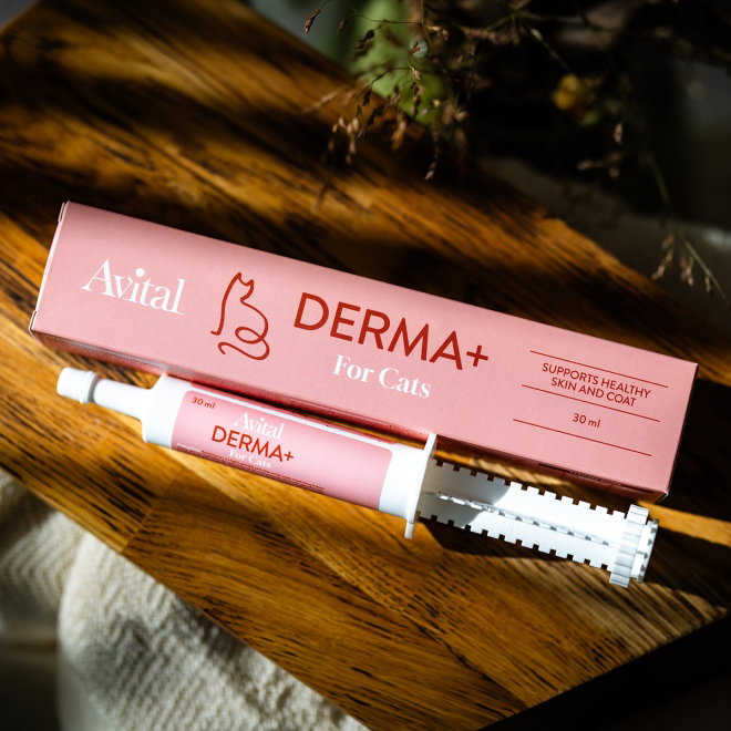 Avital Derma+ for cats