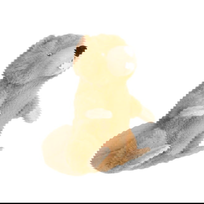 Little&Bigger Wildlife Friends Bever