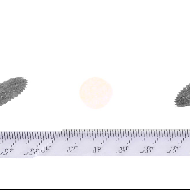 Brit Care Dog Adult Grain Free Salmon (12 kg)