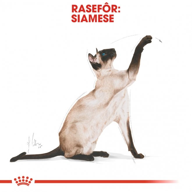 Royal Canin Breed Siamese Adult tørrfôr til katt