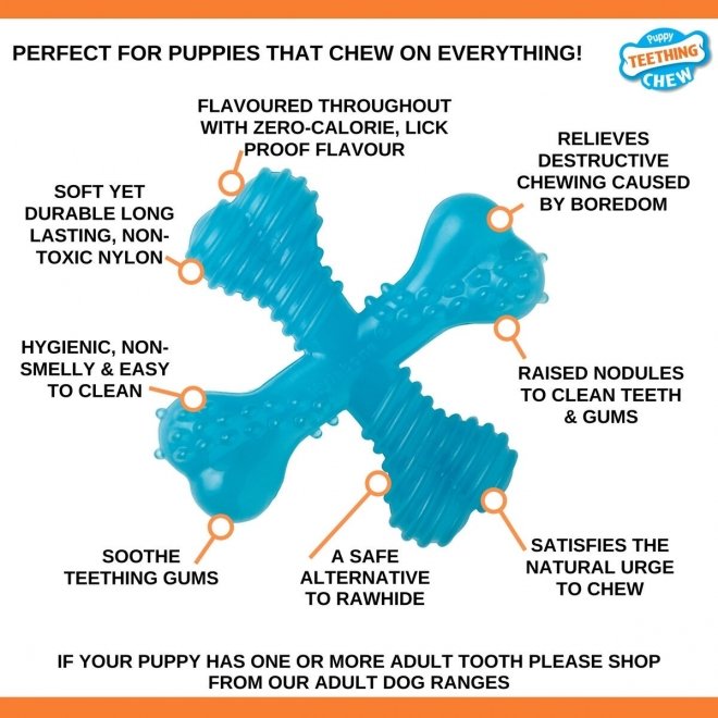 Nylabone Puppy Teething X Okse, XS