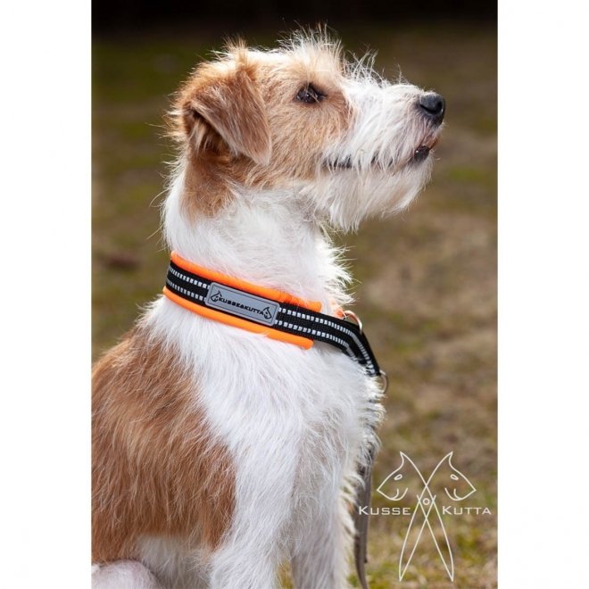 Kusse&Kutta Hundehalsband oransje