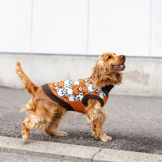 Little&Bigger Bearlie Hundegenser Brun