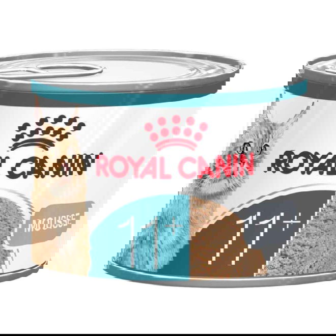 Royal Canin FHN ageing 11+ mousse 85g