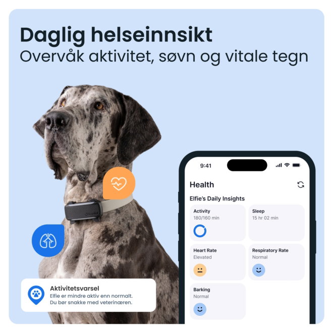 Tractive DOG 6 XL GPS Dog Collar & Health Monitor