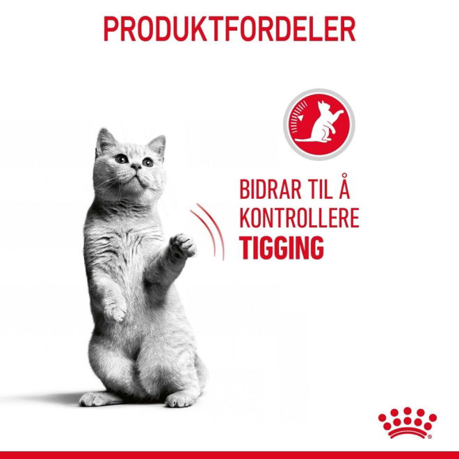 Royal Canin Appetite Control Care Adult tørrfôr til katt