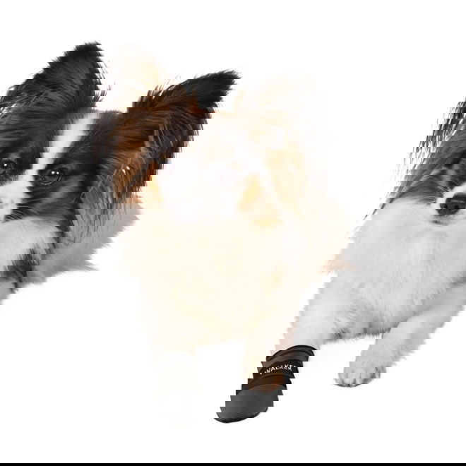 Trixie Hundesko Neopren potesokker 2-pack (M)