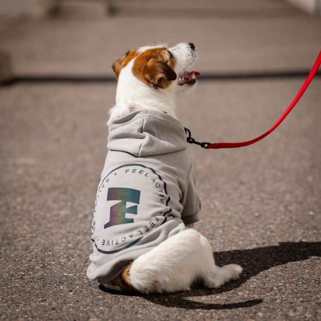 Feel Active Bromma hettegenser til hund grå