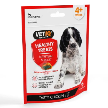 VetIQ Puppy Intestinal Support treats 50 g