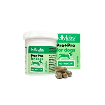 Bellylabs Pre+Pro Gut Health f&ouml;r Hund 60 kapslar