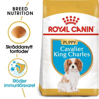 Royal Canin Breed Cavalier King Charles Spaniel Puppy 1,5 kg