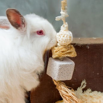 Quapas! H&auml;ngande Gnagarleksak 1