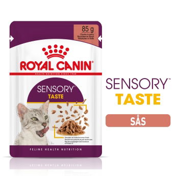 Royal Canin Sensory Taste Gravy Adult våtfoder för katt 12x85 g