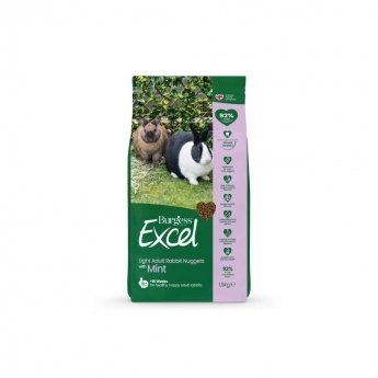 Burgess Excel Kanin Light