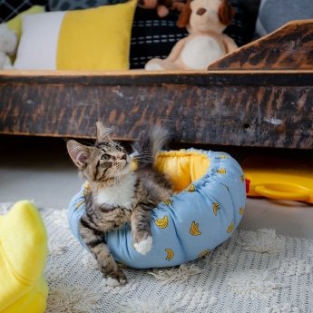 Little&Bigger Banana Kattb&auml;dd