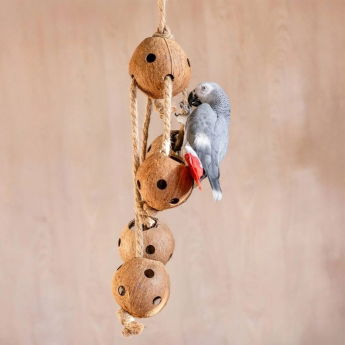 Quapas! F&aring;gelleksak Kokosn&ouml;tter p&aring; Rep