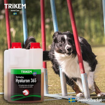 Trikem Working Dog Hyaluron 365