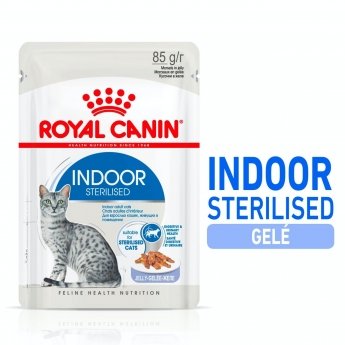 Royal Canin Cat Adult Indoor Sterilised Jelly 12x85 g