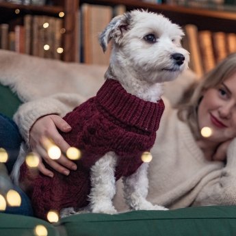 Basic Wool Kabelstickad Hundtröja Röd