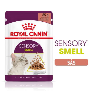 Royal Canin Sensory Smell Gravy Adult våtfoder för katt 12x85 g