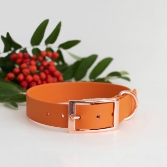 Tyylivoitto Classy Hundhalsband Orange