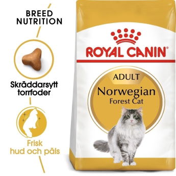 Royal Canin Norwegian Forest Cat