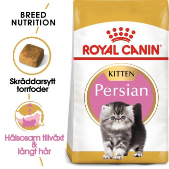 Royal Canin Persian Kitten