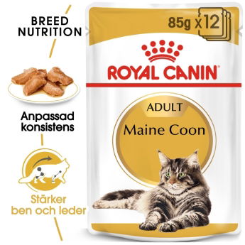 Royal Canin Maine Coon 12 x 85 g