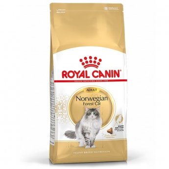 Royal Canin Norwegian