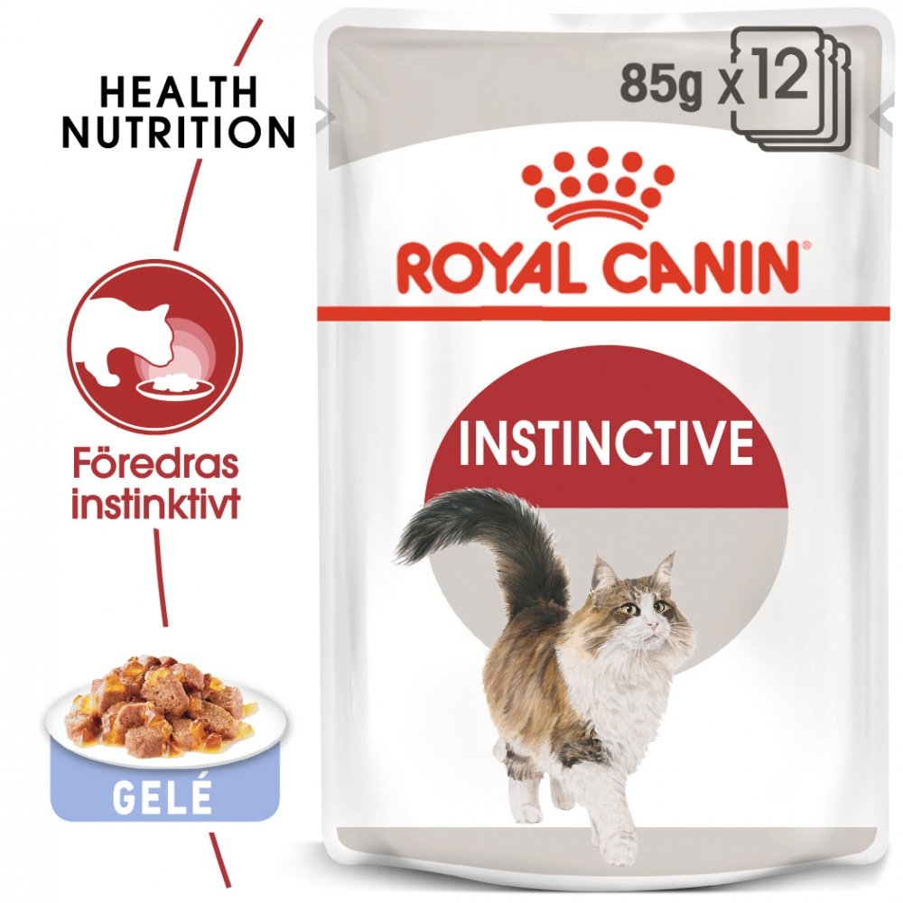 Royal Canin Instinctive Jelly 12×85 g