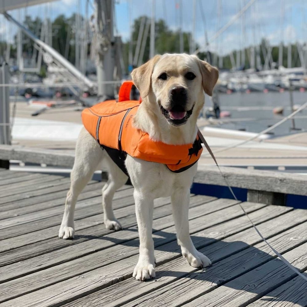 Basic Float Eco Hundflytväst Orange (M)