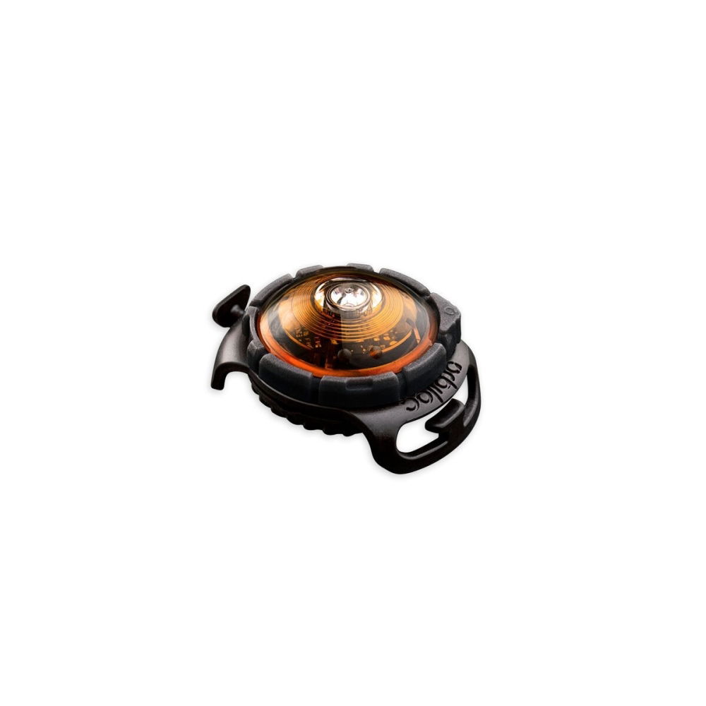 Produktfoto för Orbiloc Dual Safety Hundlampa (Orange)